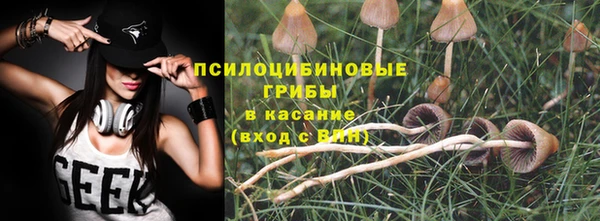 apvp Алексин