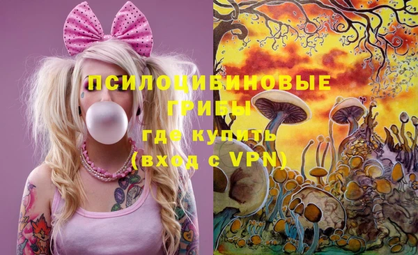 спиды Алексеевка
