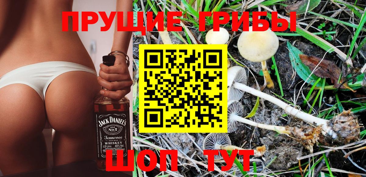 Кызыл  Галлюциногенные грибы Psilocybe  Вход с VPN  Галлюциногенные грибы MAGIC MUSHROOMS 